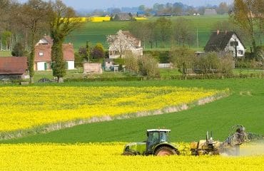 Agriculture : les réductions des zones de non-traitement retoquées par le Conseil constitutionnel !