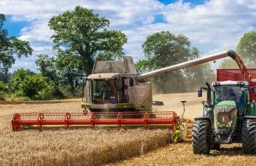 Assurance récolte : les taux de subventions sont inchangés pour 2021