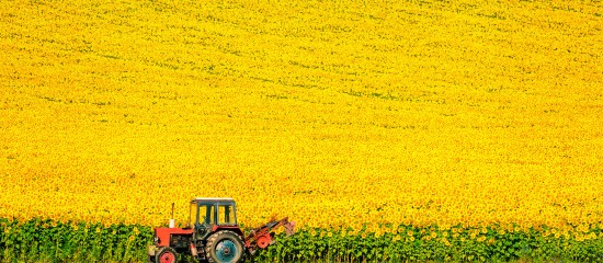 Culture d’oléoprotéagineux : aides à l’acquisition d’agroéquipements