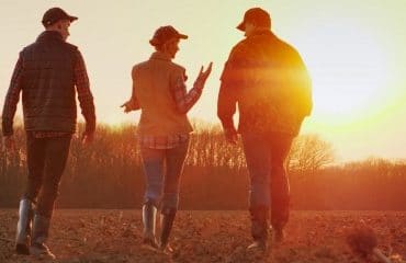 Gare au retrait anticipé d’une coopérative agricole !