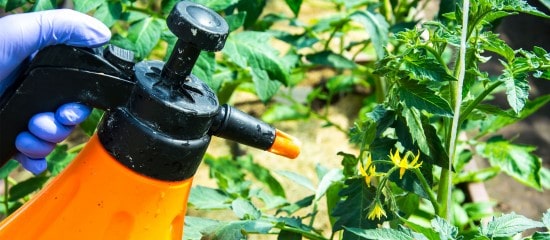 Agriculture biologique : les alternatives aux phytosanitaires encouragées !