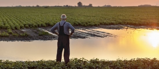 Agriculteurs victimes des inondations : une prise en charge de vos cotisations