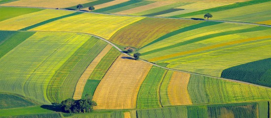 Quel prix pour les terres agricoles en 2020 ?
