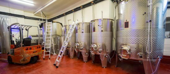 Viticulteurs : aide aux investissements vitivinicoles 2022