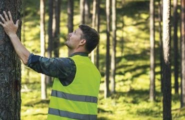 Investir dans les bois et forêts avec les GFI