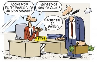 Investissement dans les forêts