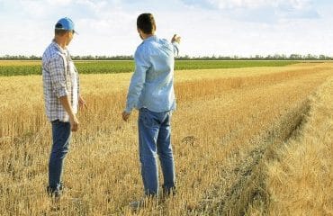 La prise de contrôle des sociétés agricoles soumise à autorisation !