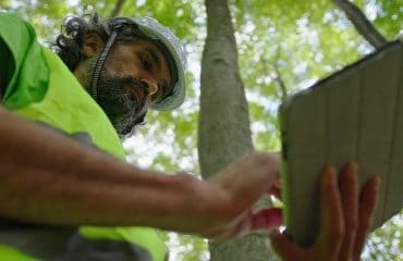 Experts forestiers : accès aux données cadastrales