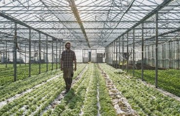 Plan de résilience : des aides pour soutenir l’agriculture