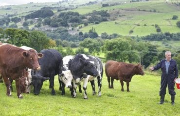 Crédit d’impôt pour congé de l’exploitant agricole : quels justificatifs ?