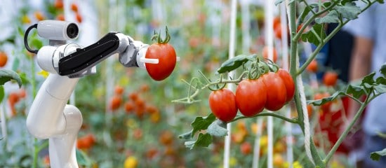 Aide à l’acquisition de matériels agricoles innovants