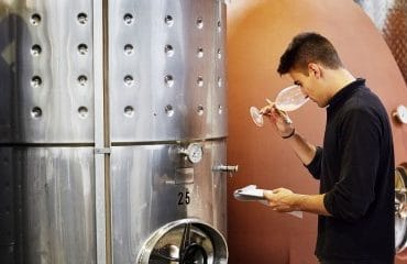 Viticulteurs : une aide pour les activités de vinification après le gel de 2021