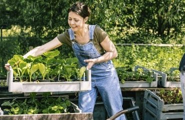 Du nouveau pour la protection sociale des non-salariés agricoles