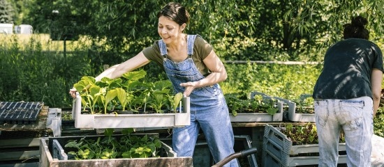 Du nouveau pour la protection sociale des non-salariés agricoles