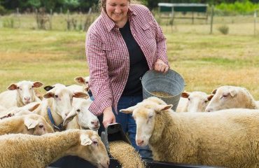 Éleveurs : une aide à l’achat d’aliments pour animaux