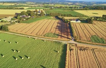 Le marché des terres agricoles en 2021