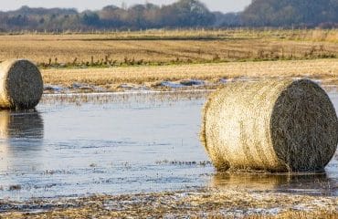 Assurance récolte : les taux de subventions sont inchangés pour 2022
