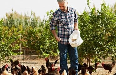 Éleveurs : l’interdiction des dénominations animales pour désigner des denrées végétales est suspendue !