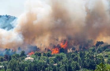 L’Urssaf au chevet des entreprises touchées par les feux de forêts