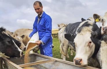 Exploitants agricoles : encore quelques jours pour demander l’aide « Pec résilience » !