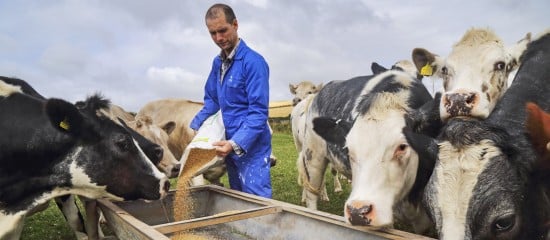 Exploitants agricoles : encore quelques jours pour demander l’aide « Pec résilience » !