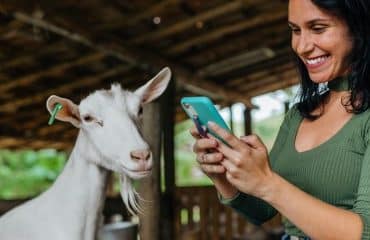 Éleveurs : montant des aides animales pour 2022