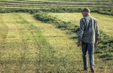 La reprise par le bailleur des terres louées après le décès du locataire