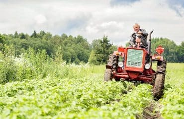 Du nouveau pour la fiscalité des exploitations agricoles