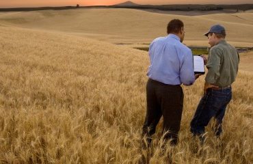 Les cessions de parts de sociétés agricoles détenant du foncier sous contrôle !