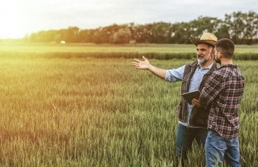 Mise à disposition d’une société de terres agricoles louées : gare à l’information du bailleur !