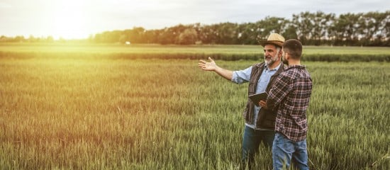 Mise à disposition d’une société de terres agricoles louées : gare à l’information du bailleur !