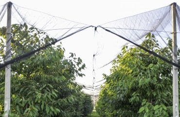 Aide aux investissements protégeant les exploitations agricoles contre les aléas climatiques