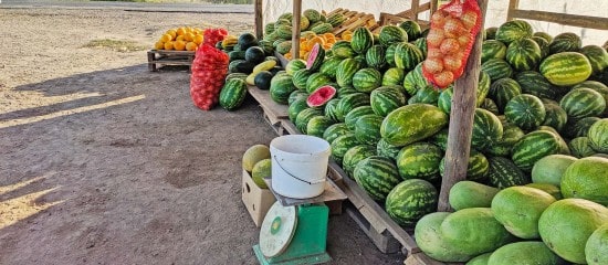 Vente au déballage : une amende forfaitaire possible en cas d’irrégularité