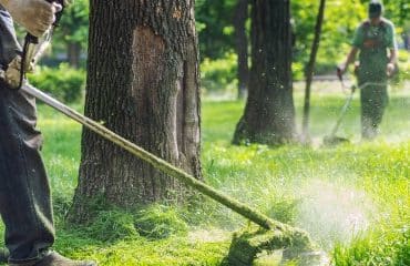 Insertion : nouveaux territoires zéro chômeur de longue durée