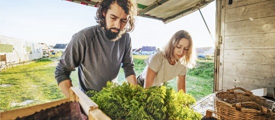 Jeunes agriculteurs : option pour le taux réduit de la cotisation Amexa