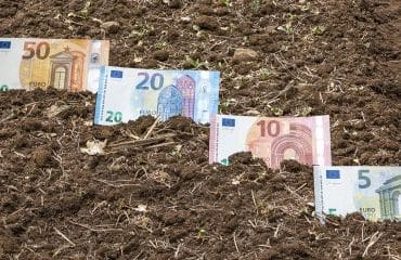 Les prix des terres agricoles en hausse en 2022