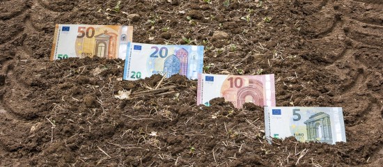 Les prix des terres agricoles en hausse en 2022