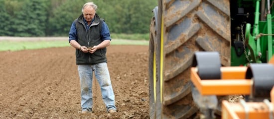 Nouvelle Politique agricole commune : qu’est-ce qu’un agriculteur actif ?