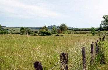 Demandes concurrentes d’autorisation d’exploiter une parcelle agricole : qui est prioritaire ?