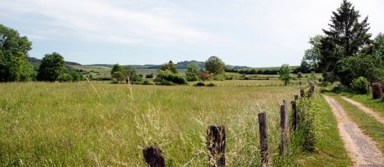 Demandes concurrentes d’autorisation d’exploiter une parcelle agricole : qui est prioritaire ?