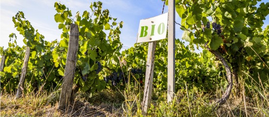 Agriculture biologique : le plan d’aide aux exploitations est opérationnel