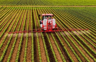 Toutes cultures : le glyphosate à nouveau autorisé pour 10 ans ?