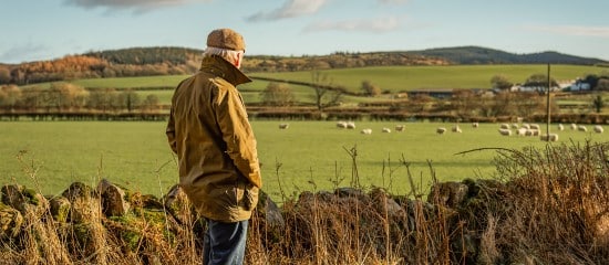 Mise à disposition à une société de terres agricoles louées : il faut les exploiter !