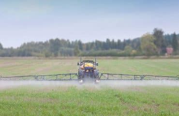 Toutes cultures : le glyphosate à nouveau autorisé pour 10 ans