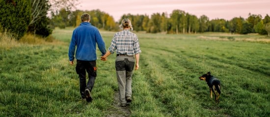 Décès d’un exploitant agricole : à qui est transmis le bail rural ?