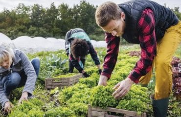 Exploitants agricoles : les nouveautés fiscales pour 2024