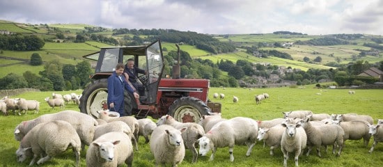 Exploitants agricoles : fin de l’option fiscale pour la moyenne triennale