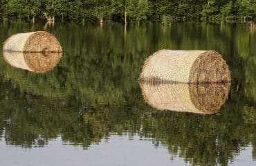 Exploitants agricoles : déclarez votre interlocuteur agréé pour les pertes de récolte !