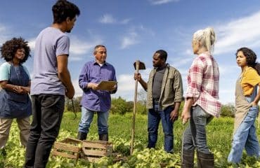 Le recrutement de travailleurs étrangers facilité dans l’agriculture