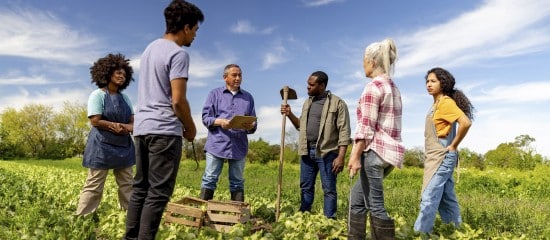 Le recrutement de travailleurs étrangers facilité dans l’agriculture